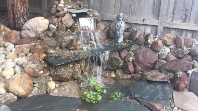 Serenity Designs - Tree & Shrub Care in Elverta, CA