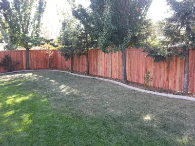 Serenity Designs - Tree & Shrub Care in Elverta, CA