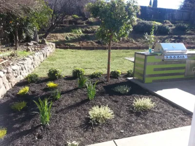 Serenity Designs - Tree & Shrub Care in Elverta, CA