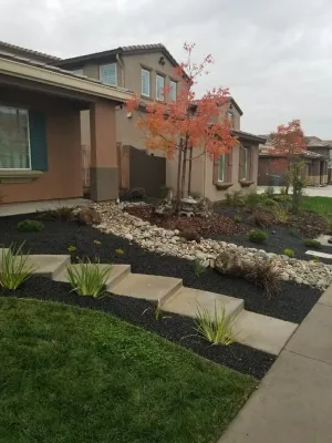 Serenity Designs - Tree & Shrub Care in Elverta, CA