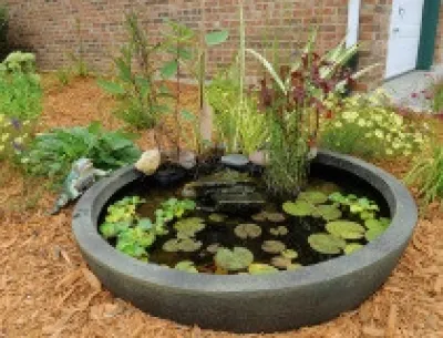 Shamrock Hardscapes and Restoration - Lawn Aeration in Elburn, IL