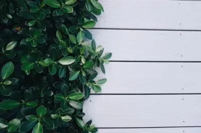 Decks & Docks - Deck Building & Repair in Fort Walton Beach, FL