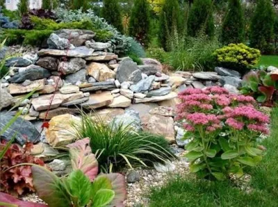 McClendon Total Lawn Care - Lawn Care & Mowing in Lithia Springs, GA