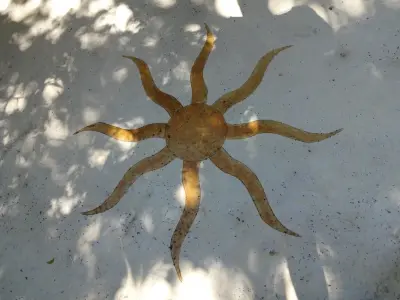 Hometown Decking and decorative concrete - Carpentry & Woodworking in Austin, TX