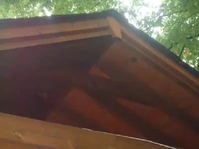 Canine Friendly Patio — Deck Building & Repair project by SelectDecks