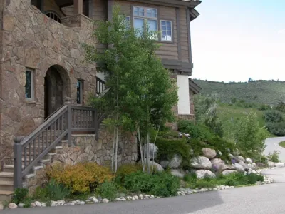 SHC Nursery & Landscape Co - Land Cleaning in Eagle, CO