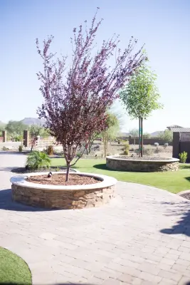 Extreme Dreamz Custom Landscaping LLC - Landscape Design in Phoenix, AZ