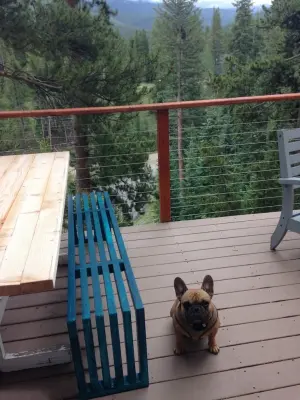 Feeney Cable Railing — Deck Building & Repair project by DecksDirect