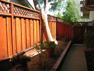 Flagstsaff Deck Doctors - Carpentry & Woodworking in Flagstaff, AZ