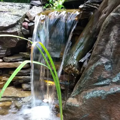 Bell Ponds & Patios - Design-Build Services in Achilles, VA