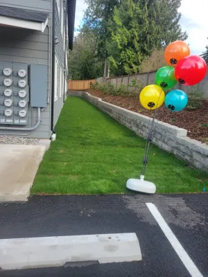 “Drain & Catch bases instead. Sprinkler system installed.2 by Mendoza Landscaping LLC