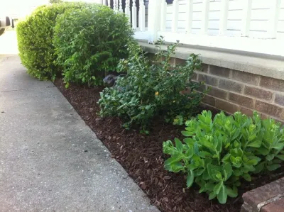 Sidescape Lawn & Property - Lawn Aeration in Murfreesboro, TN