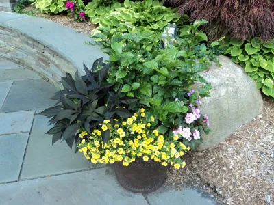 Sietsma Landscape Operations Inc - Drip Irrigation System Installation in Midland Park, NJ