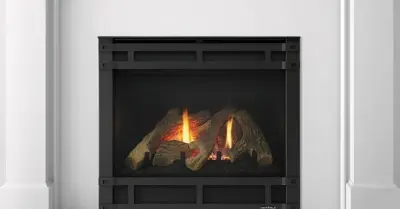 Traditional Heat N Glo Gas Fireplaces — Deck Building & Repair project by Northfield Fireplace & Grills