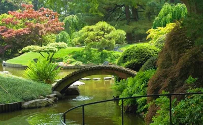 Sims Lawn Service, Inc. - Leaf Removal & Cleanup in Louisville, KY