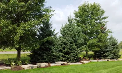 Granite Courtyard Escape — Landscape Construction project by Sirco Scape, LLC