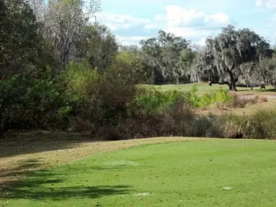 Jason Nix LLC - Landscape Construction in Lakeland, FL
