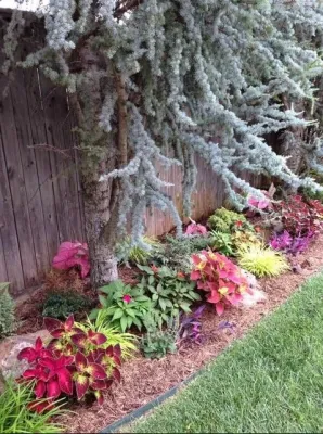 Small Wonders Landscape & Design, Llc - Lawn Aeration in Oklahoma City, OK