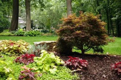 Planting Beds Brought to Life! by Smalls Landscaping