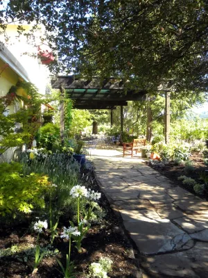 California Winery Benessere Vineyards — Landscape Construction project by Smalls Landscaping