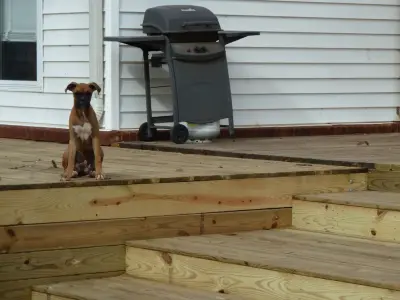 Johnston Carpentry & Remodeling - Carpentry & Woodworking in Perry, GA