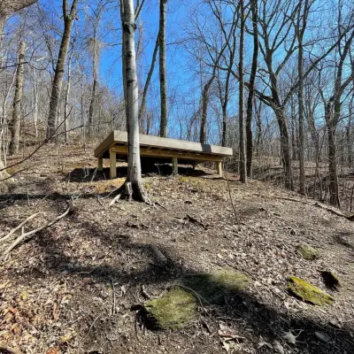 Natural Pathway Deck — Deck Building & Repair project by Myers Contracting Services LLC