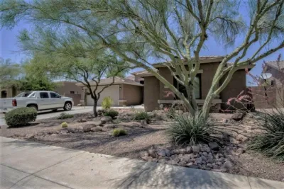 Smiling Dog Landscapes, Inc - Tree Planting & Transplanting in Gold Canyon, AZ
