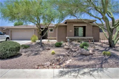 Smiling Dog Landscapes, Inc - Tree Planting & Transplanting in Gold Canyon, AZ