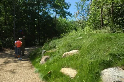 No Mow lawns — Landscape Construction project by Snow Creek Landscaping, LLC