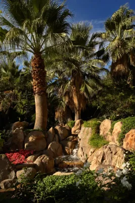 Sohnco Landscape - Tree & Shrub Care in Palm Desert, CA