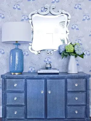 East Side Transitional Entry Space — Interior Design & Decorating project by DLT Interiors-Debbie Travin