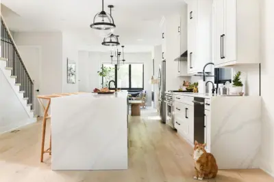 Adina Hall Design - Interior Design & Decorating in Chicago, IL