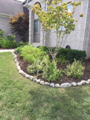 Solis lawn care llc - Tree & Shrub Care in Ypsilanti, MI