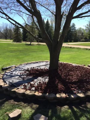 Solis lawn care llc - Tree & Shrub Care in Ypsilanti, MI