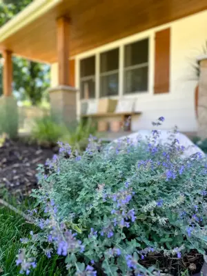 Centennial, CO | Total Exterior Renovation and Landscaping — Interior Design & Decorating project by HouseHome