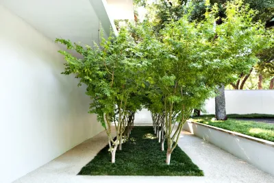 Modern Dallas Property — Landscape Construction project by Southern Botanical, Inc.