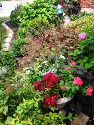 Specialty Gardens LLC - Landscape Maintenance in Saint Louis, MO