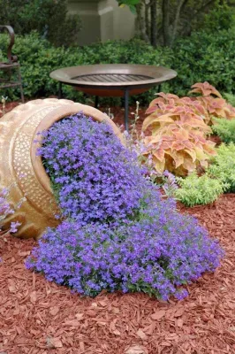 Spectrum Landscaping Services - Tree & Shrub Care in Midway, UT