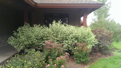Spectrum Landscaping Services - Tree & Shrub Care in Midway, UT