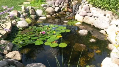 Spring Berry Landscpg & Tree - Tree & Shrub Care in Marengo, OH