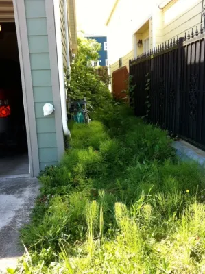 Spring Landscape - Landscape Maintenance in Auburn, WA