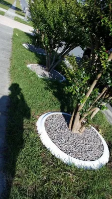 SpringScape LLC - Landscape Maintenance in Spring Hill, FL
