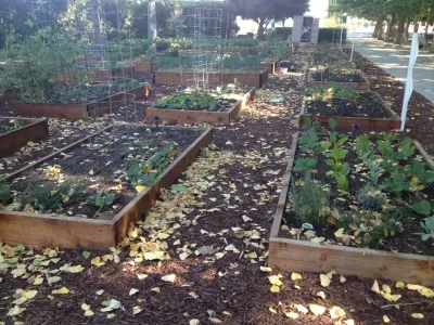 StartOrganic Vegetable Garden Service - Irrigation System Repair in San Jose, CA