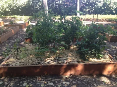 StartOrganic Vegetable Garden Service - Irrigation System Repair in San Jose, CA