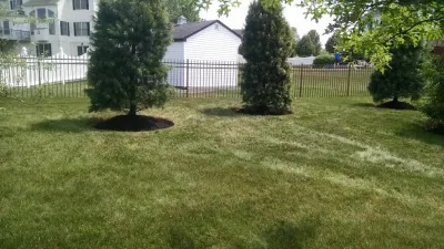 Tree Planting — Landscape Construction project by Steve Greco Landscaping, Inc.