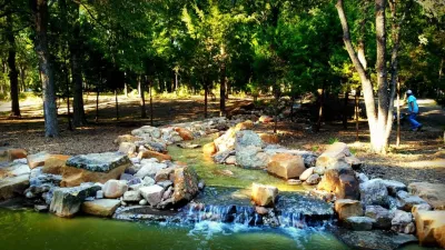 Natural "Organic" Swimming Pools — Landscape Construction project by Sublime Water Gardens in Dallas