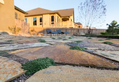 Sunflower Landscapes - Tree & Shrub Care in Colorado Springs, CO