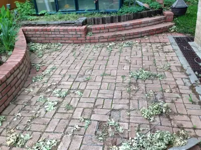 Paving Texas Construction - Driveway Repair & Paving in Arlington, TX