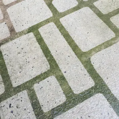 DIY STENCIL - COBBLESTONE — Driveway Repair & Paving project by Driveway Art CO.