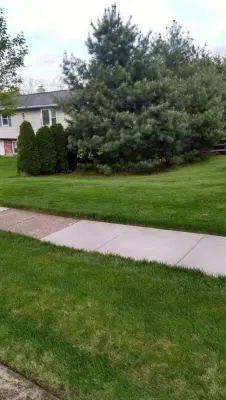 Concrete Initiatives — Driveway Repair & Paving project by The Driveway Lady LLC